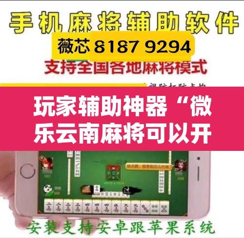玩家辅助神器“微乐云南麻将可以开挂吗	”(透视挂)辅助透视教程