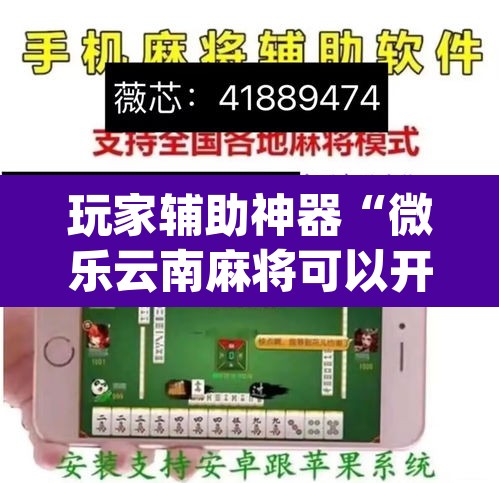 玩家辅助神器“微乐云南麻将可以开挂吗”(透视挂)辅助透视教程