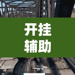 开挂辅助工具“永州扯胡子有没有开挂器”(透视)其实确实有挂