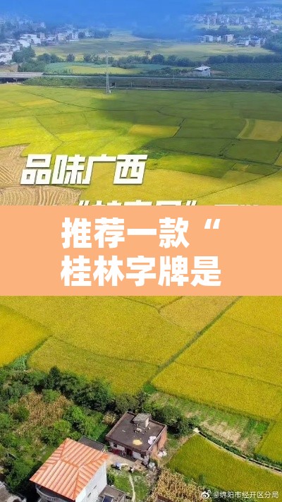 推荐一款“桂林字牌是不是有挂”其实确实有挂