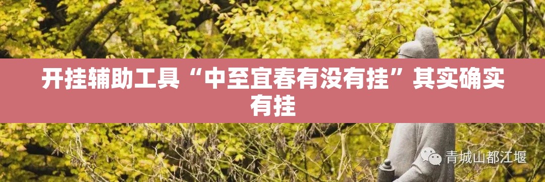 开挂辅助工具“中至宜春有没有挂	”其实确实有挂