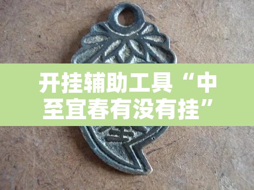 开挂辅助工具“中至宜春有没有挂”其实确实有挂