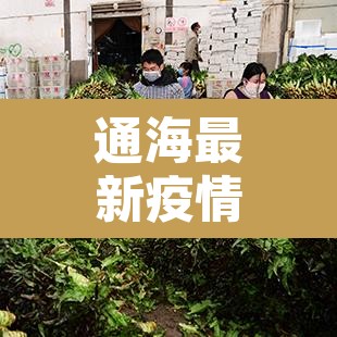 通海最新疫情新增：通海确诊新型冠状肺炎