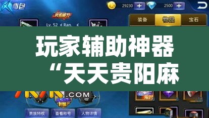 玩家辅助神器“天天贵阳麻将可以开挂吗”其实确实有挂