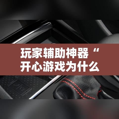 玩家辅助神器“开心游戏为什么一直输”其实确实有挂