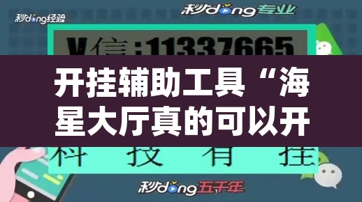 开挂辅助工具“海星大厅真的可以开挂吗”(透视挂)辅助透视教程