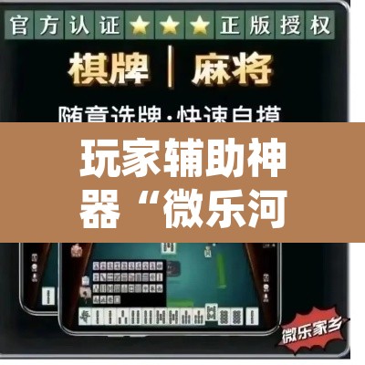 玩家辅助神器“微乐河北麻将万能开挂器通用版”(透视)其实确实有挂