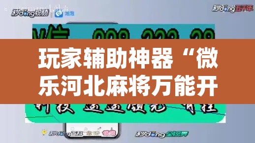 玩家辅助神器“微乐河北麻将万能开挂器通用版”(透视)其实确实有挂
