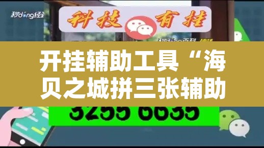 开挂辅助工具“海贝之城拼三张辅助”其实确实有挂