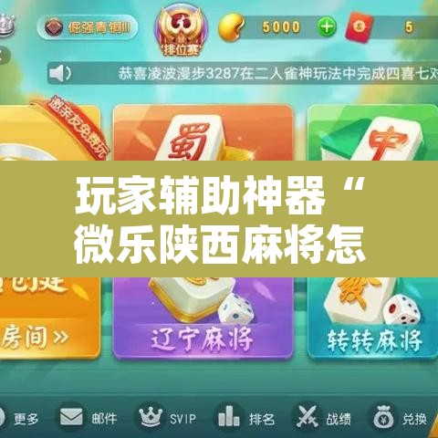 玩家辅助神器“微乐陕西麻将怎么提高胜率	”附辅助神器开挂脚本详细步骤