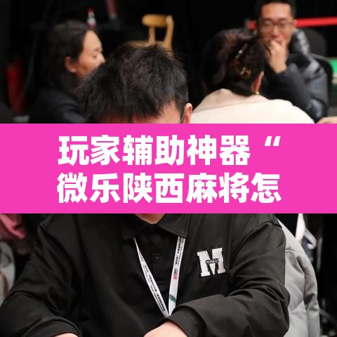 玩家辅助神器“微乐陕西麻将怎么提高胜率”附辅助神器开挂脚本详细步骤