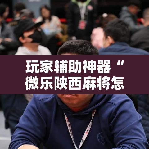 玩家辅助神器“微乐陕西麻将怎么提高胜率”附辅助神器开挂脚本详细步骤