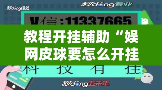 教程开挂辅助“娱网皮球要怎么开挂”(透视挂)辅助透视教程