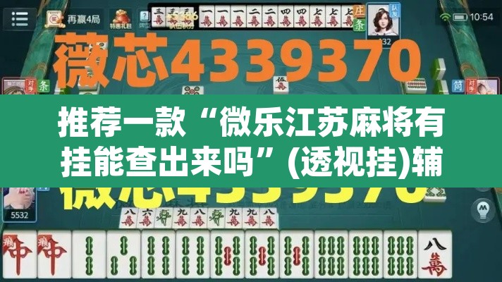 推荐一款“微乐江苏麻将有挂能查出来吗”(透视挂)辅助透视教程