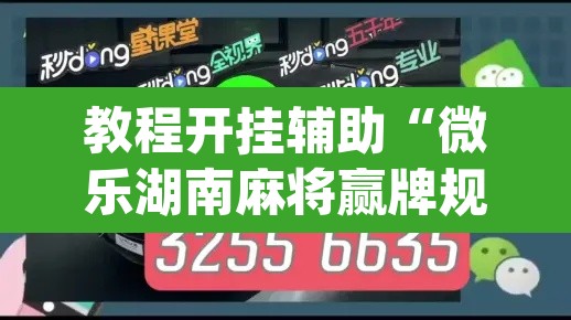 教程开挂辅助“微乐湖南麻将赢牌规律是啥”(透视挂)辅助透视教程