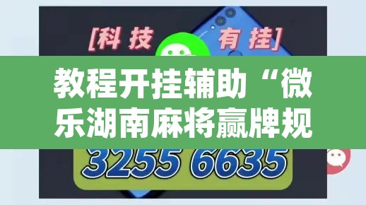 教程开挂辅助“微乐湖南麻将赢牌规律是啥	”(透视挂)辅助透视教程