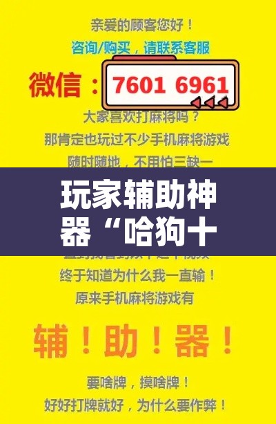 玩家辅助神器“哈狗十三道开挂辅助软件 	”其实确实有挂