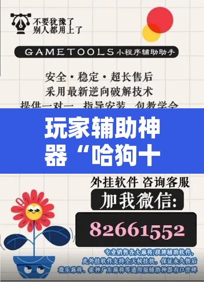玩家辅助神器“哈狗十三道开挂辅助软件 ”其实确实有挂