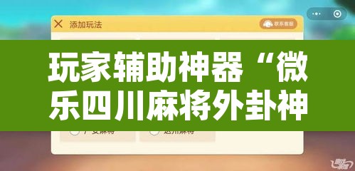 玩家辅助神器“微乐四川麻将外卦神器下载	”开挂辅助脚本+详细开挂安装教程