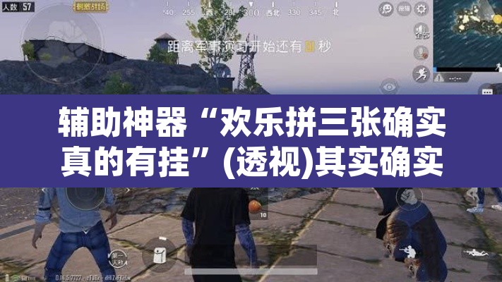 辅助神器“欢乐拼三张确实真的有挂”(透视)其实确实有挂