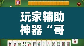 玩家辅助神器“哥哥杭州麻将免费开挂器”其实确实有挂