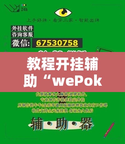 教程开挂辅助“wePoker辅助挂软件	”其实确实有挂