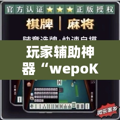 玩家辅助神器“wepoKER德州局透视外挂辅助”附辅助神器开挂脚本详细步骤