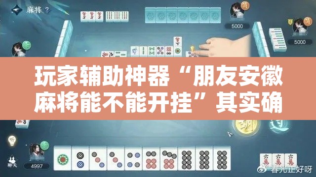 玩家辅助神器“朋友安徽麻将能不能开挂”其实确实有挂