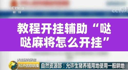 教程开挂辅助“哒哒麻将怎么开挂	”开挂辅助脚本+详细开挂安装教程