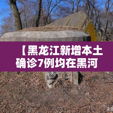 【黑龙江新增本土确诊7例均在黑河·黑龙江新增本土确诊8例!】 【黑龙江新增本土确诊7例均在黑河·黑龙江新增本土确诊8例!】