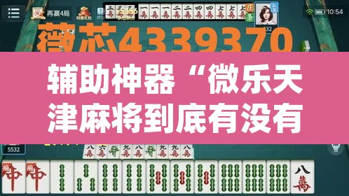 辅助神器“微乐天津麻将到底有没有挂”(透视挂)辅助透视教程