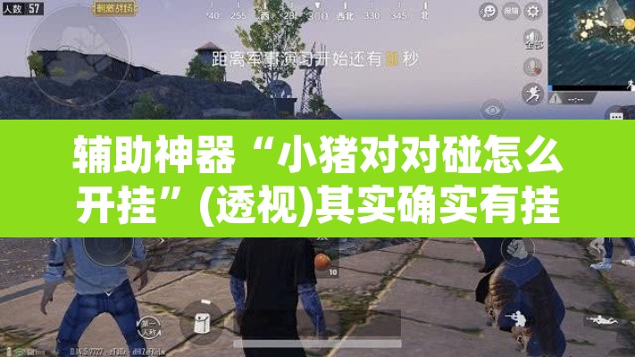 辅助神器“小猪对对碰怎么开挂	”(透视)其实确实有挂