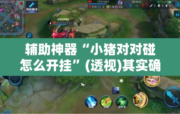 辅助神器“小猪对对碰怎么开挂”(透视)其实确实有挂