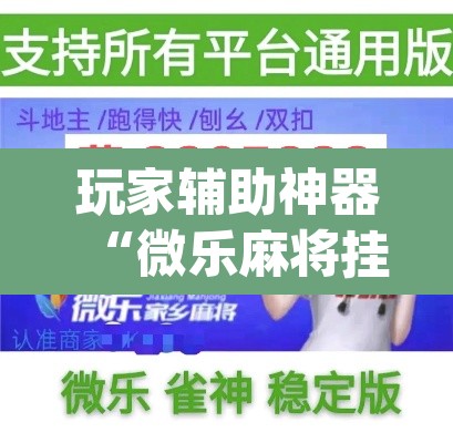 玩家辅助神器“微乐麻将挂先试用后付款	”(透视)其实确实有挂