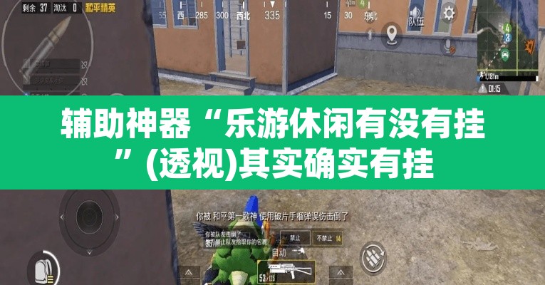 辅助神器“乐游休闲有没有挂	”(透视)其实确实有挂