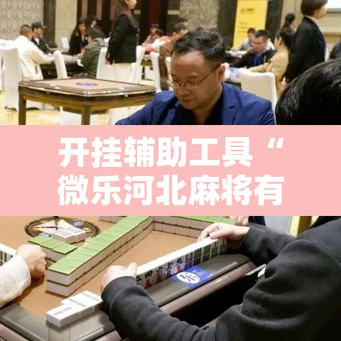 开挂辅助工具“微乐河北麻将有挂吗”其实确实有挂