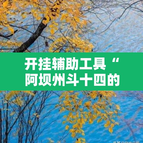 开挂辅助工具“阿坝州斗十四的确可以开挂”其实确实有挂