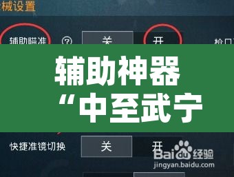 辅助神器“中至武宁双扣开挂神器”开挂辅助脚本+详细开挂安装教程