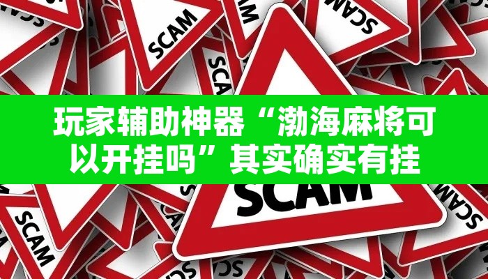 玩家辅助神器“渤海麻将可以开挂吗”其实确实有挂