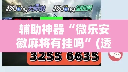 辅助神器“微乐安徽麻将有挂吗”(透视挂)辅助透视教程