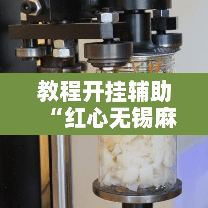 教程开挂辅助“红心无锡麻将到底有没有挂	”其实确实有挂