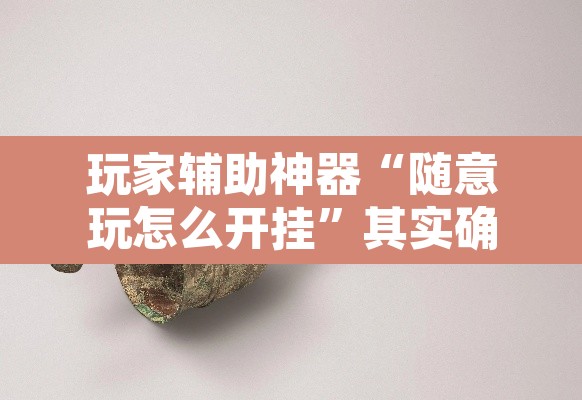 玩家辅助神器“随意玩怎么开挂”其实确实有挂
