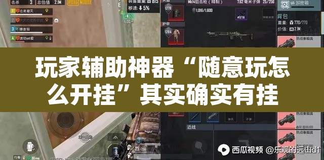 玩家辅助神器“随意玩怎么开挂	”其实确实有挂