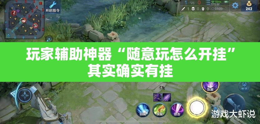 玩家辅助神器“随意玩怎么开挂”其实确实有挂