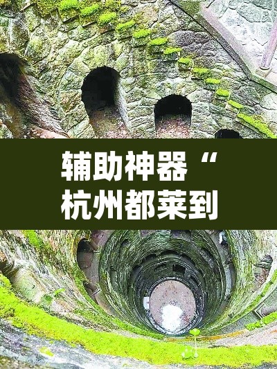 辅助神器“杭州都莱到底能不能开挂	”(透视)其实确实有挂