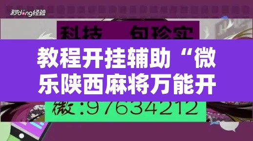 教程开挂辅助“微乐陕西麻将万能开挂器免费	”开挂辅助脚本+详细开挂安装教程