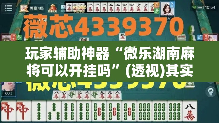 玩家辅助神器“微乐湖南麻将可以开挂吗	”(透视)其实确实有挂