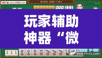 玩家辅助神器“微乐甘肃麻将万能开挂器通用版”(透视)其实确实有挂