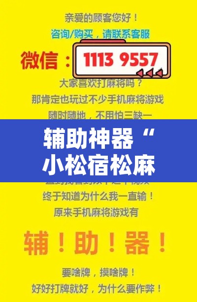 辅助神器“小松宿松麻将可以开挂吗”开挂辅助脚本+详细开挂安装教程