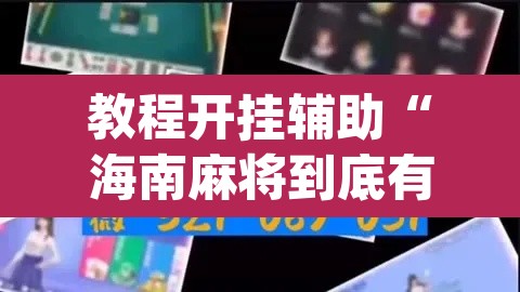 教程开挂辅助“海南麻将到底有没有挂”(透视)其实确实有挂